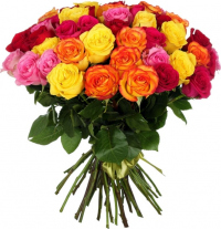 Розы Эквадор микс № 3